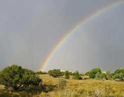 nm rainbow